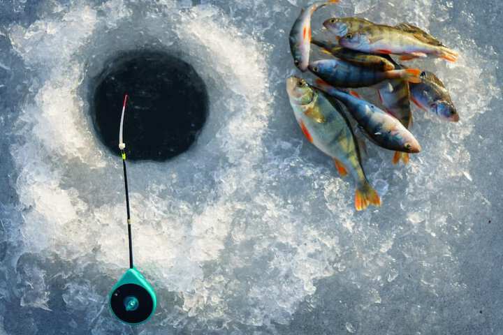Fishing