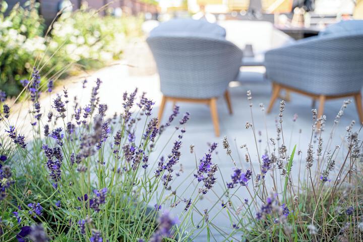 Terrace/Patio 76 of 127