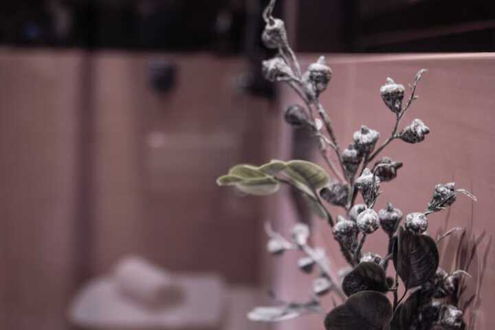 Room 48 of 70