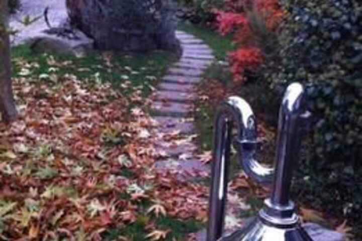 Property Grounds 18 of 20