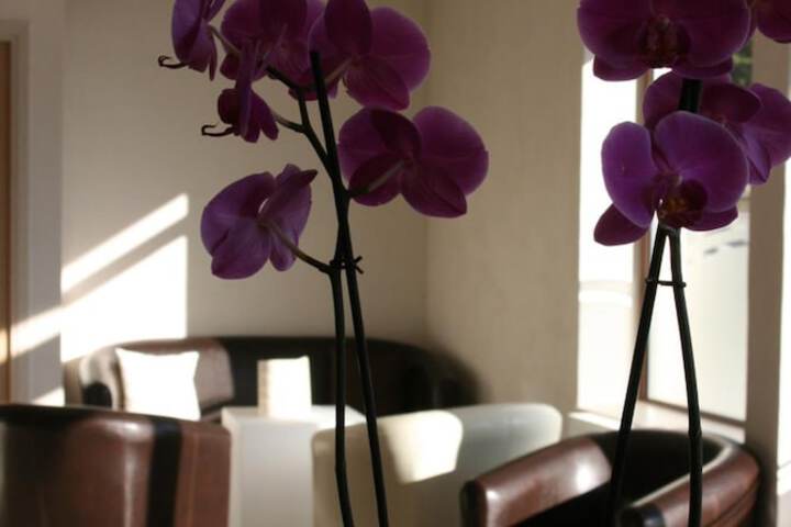 Hotel Interior 2 of 38