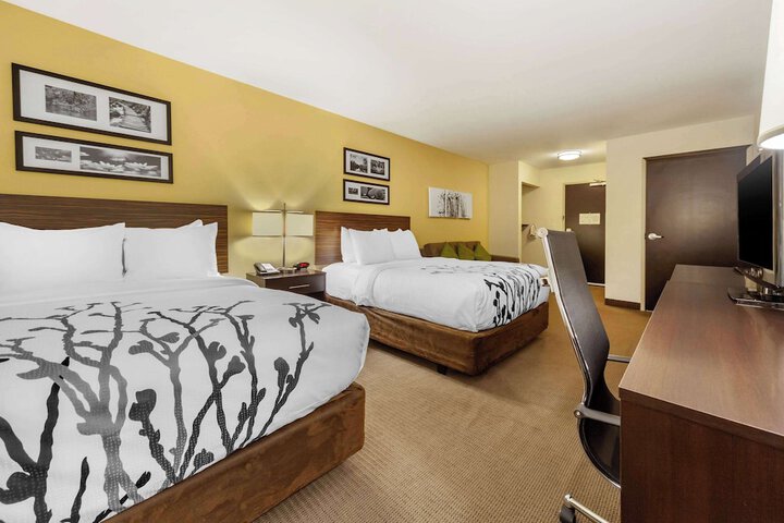 2 Queen Beds (8 of 15)