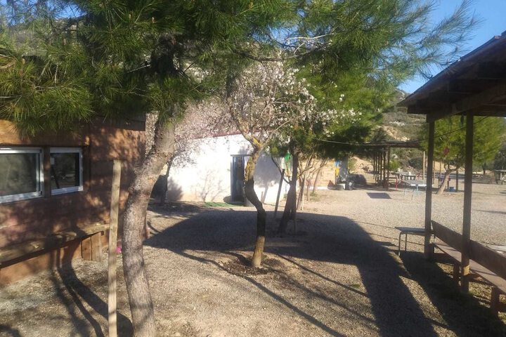 Property Grounds 42 of 52
