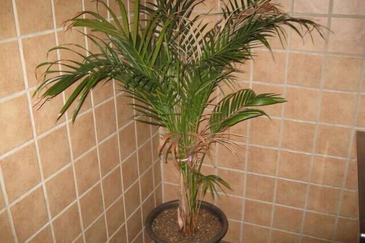 Hotel Interior 27 of 31