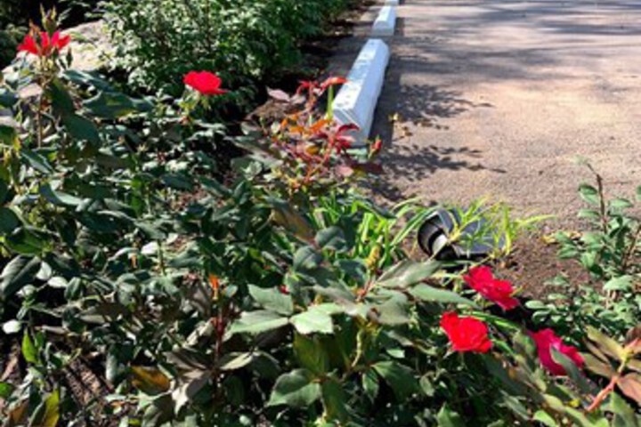 Property Grounds 29 of 44