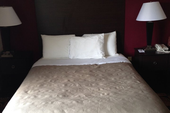 1 Queen Bed (21 of 22)