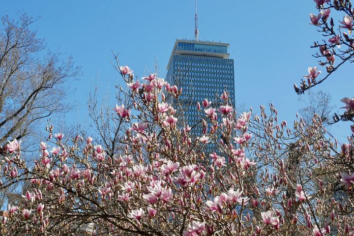 Property Grounds 27 of 39