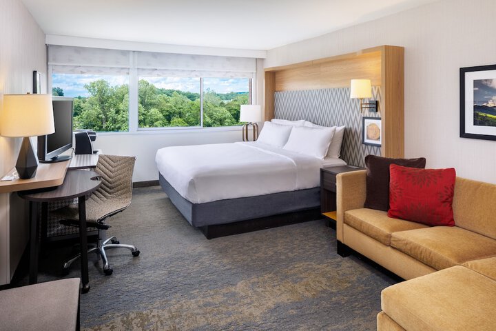 Standard King Bed Accessible (8 of 15)