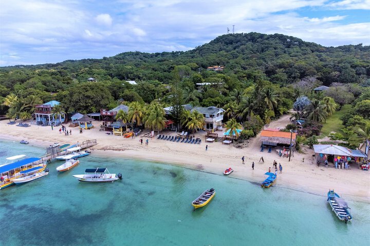 Coconut Tree West Bay in Roatan