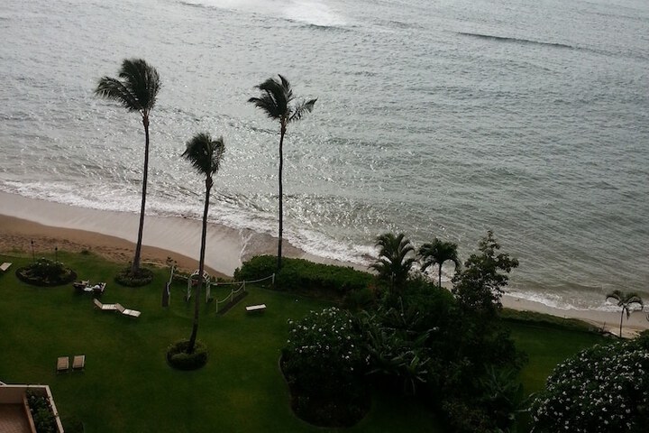 Beach 439 of 484