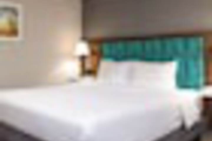 Room 50 of 261