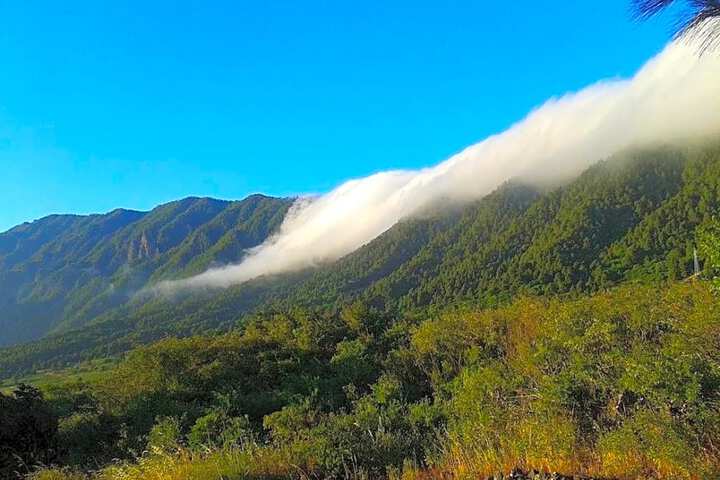 Los Castellanos