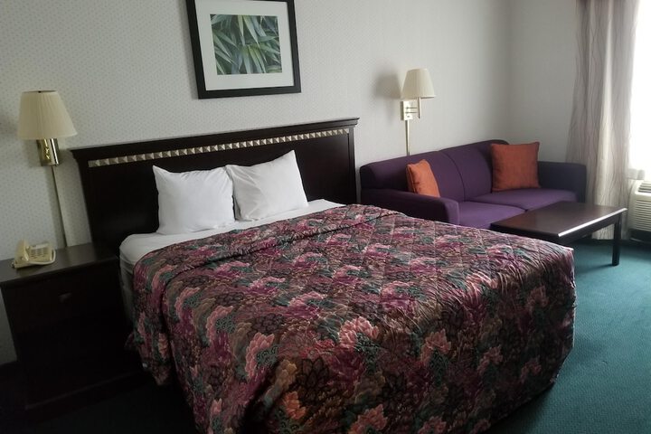 1 King Bed (14 of 16)