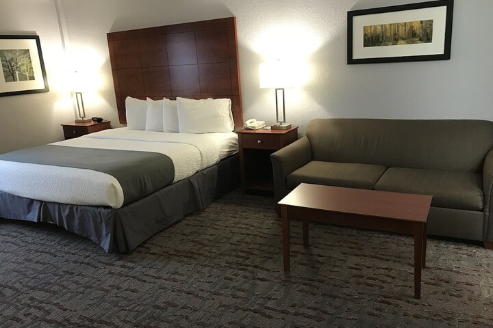 Deluxe Suite King Bed (26 of 30)