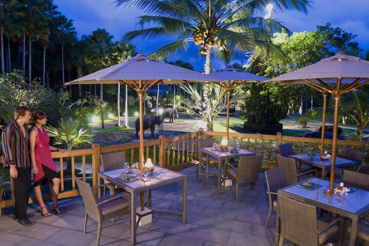 Dining Photos