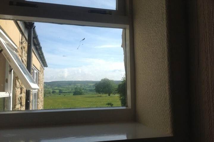 Hotel View 17 of 20