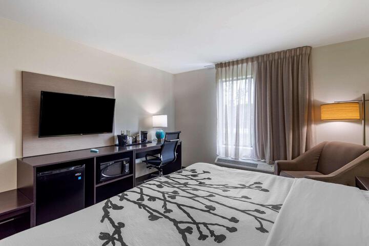 1 King Bed (11 of 13)