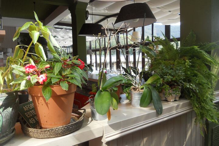Interior detail
