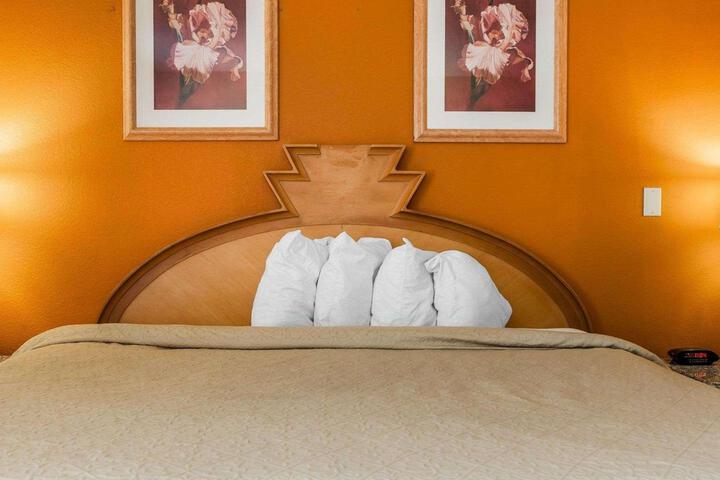 1 King Bed (8 of 10)