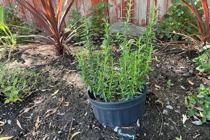 Hotel Exterior 64 of 81