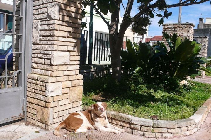 Photo 25