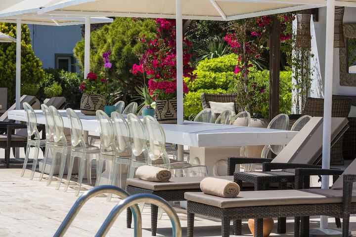 Swim-up bar