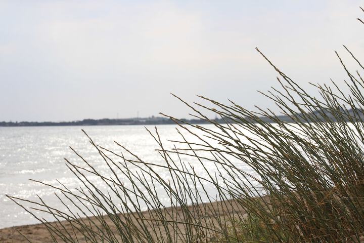 Beach 13 of 28