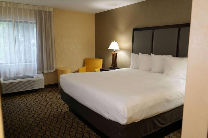 1 King Bed (6 of 13)
