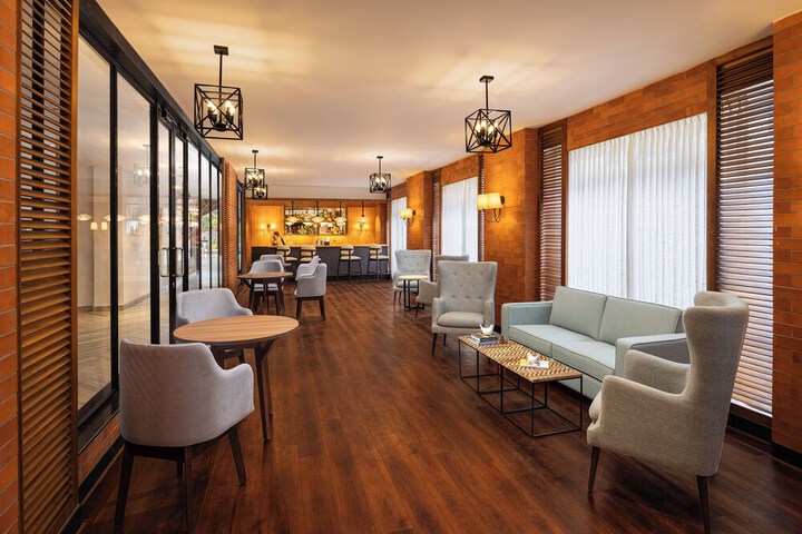 Lounge 36 of 38
