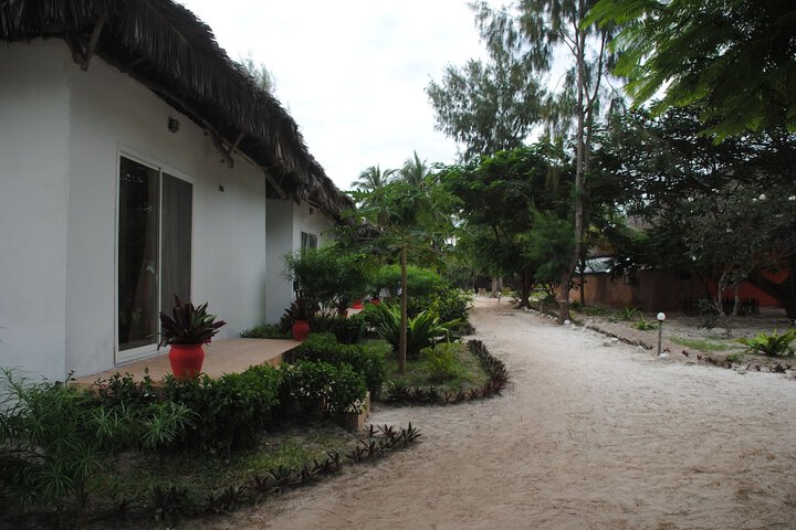 Terrace/Patio 18 of 50