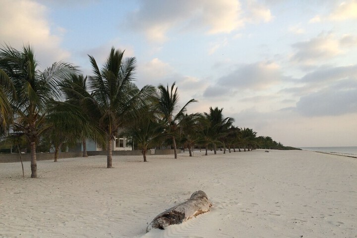 Beach 88 of 138
