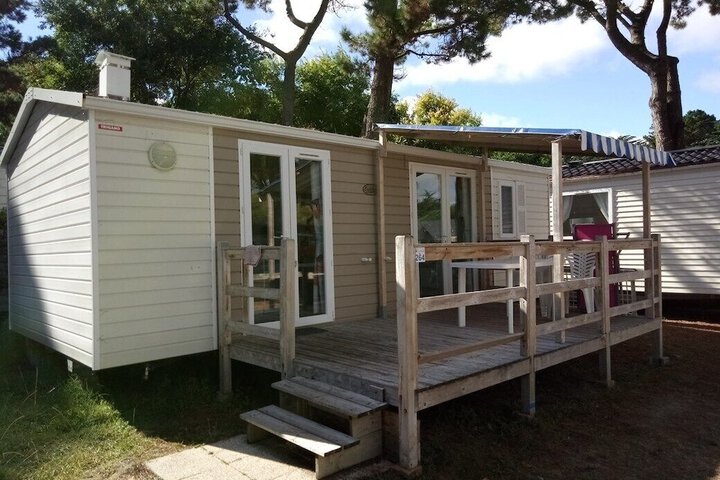 Goéland Argenté in Quiberon