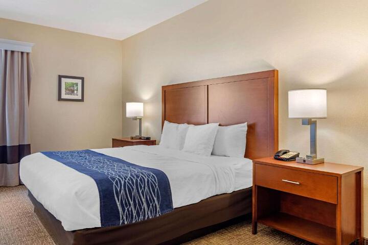 1 King Bed (6 of 10)