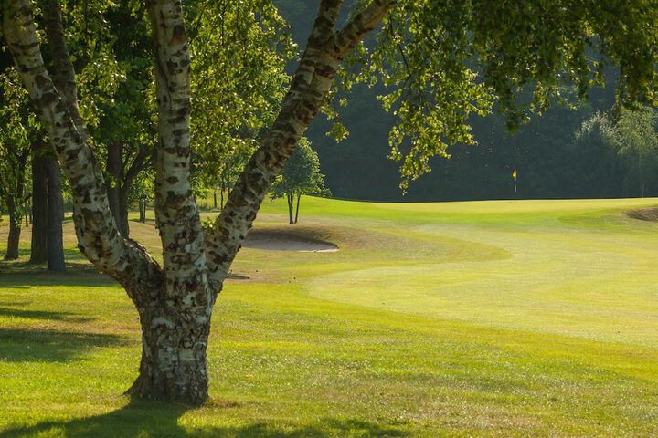 Golf 30 of 63