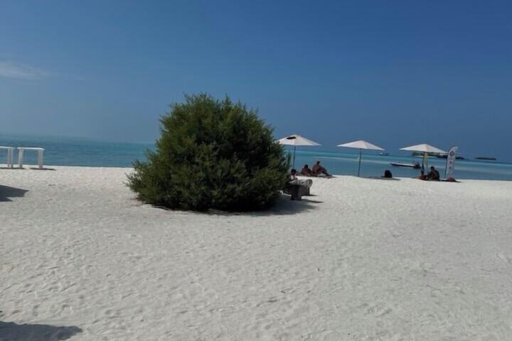 Beach 29 of 53
