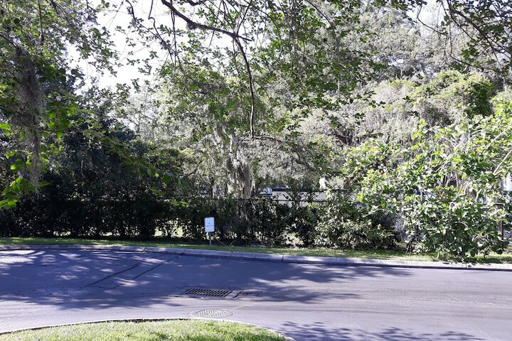 Lake view
