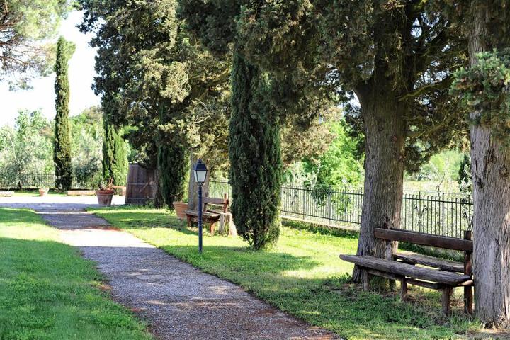Photo 29