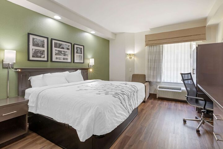 Standard | King Bed (6 of 9)