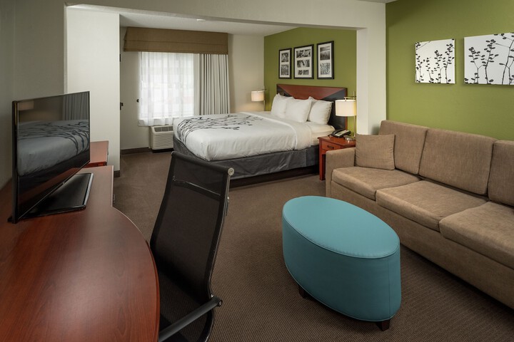 Standard Room, King or Two Doubles (7 of 8)