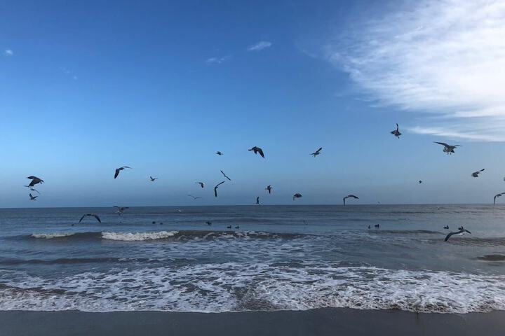 Beach 25 of 50