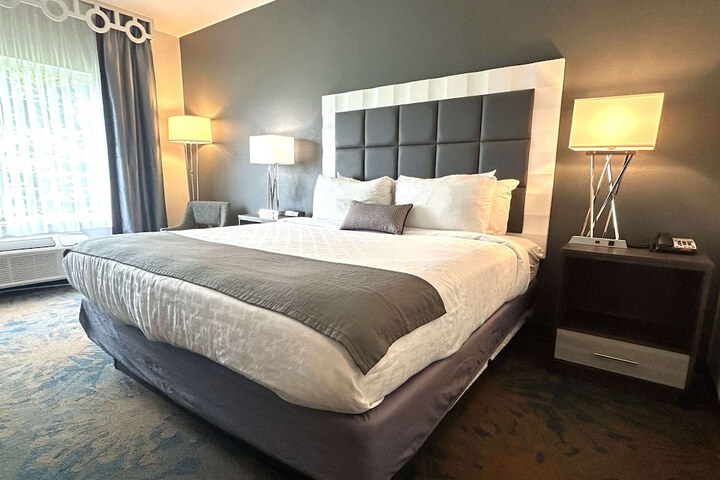 1 King Bed Communication Assistance Microwave, Refrigerator Walk in Shower Full Breakfast (2 of 8)