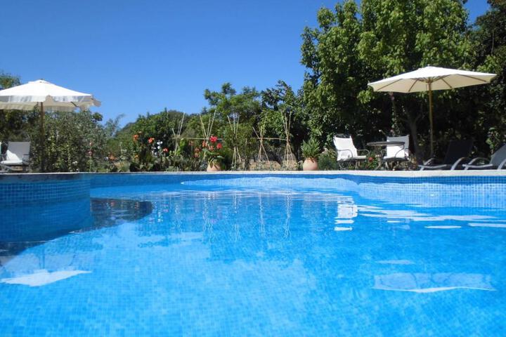 Spa and Wellness Pictures