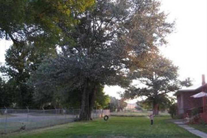 Property Grounds 5 of 34