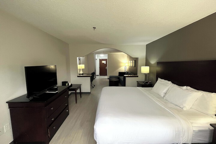 1 King Bed Suite (1 of 10)