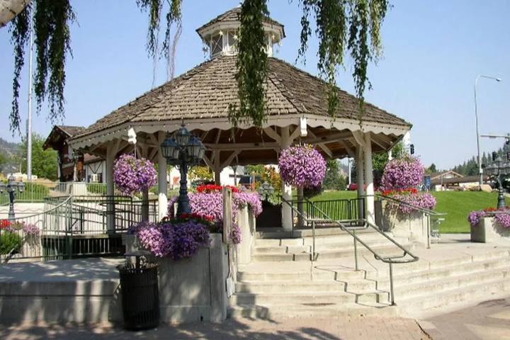 Photo 11