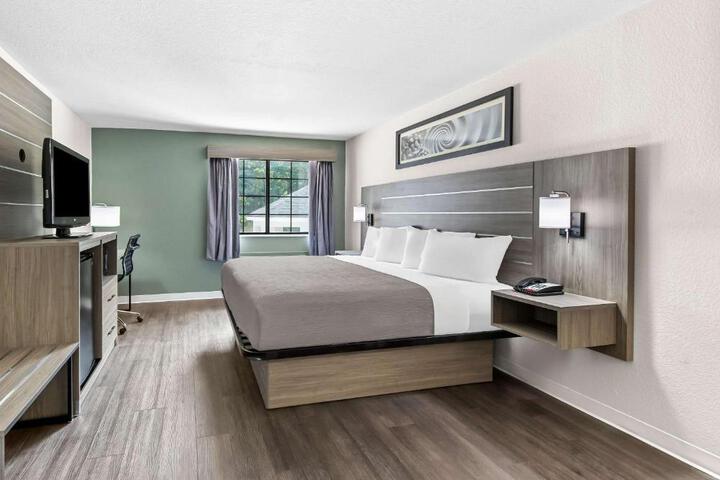 1 King Bed (6 of 8)