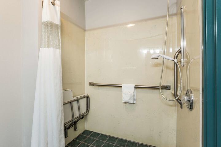 1 King Bed Mobility Accessible (7 of 26)