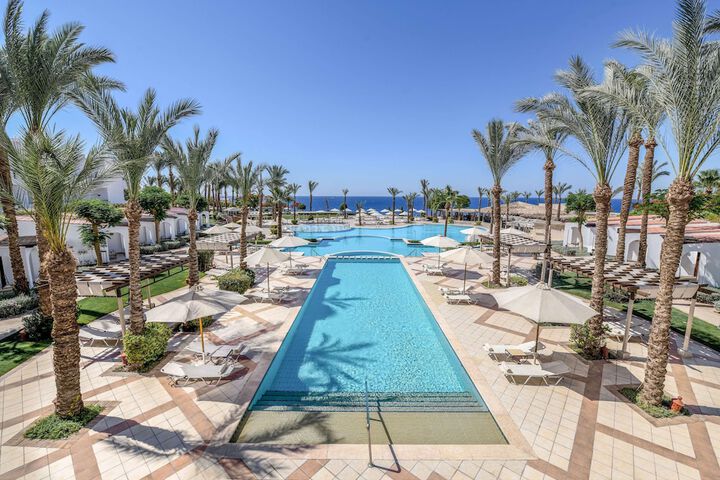 Hotel with Pool