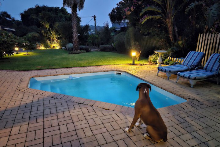 Pet-friendly
