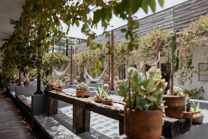 Terrace/Patio 37 of 41